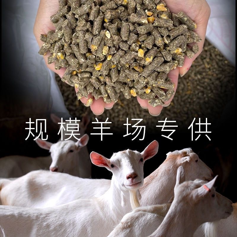 山西羊饲料颗粒品质保证诚信经营欢迎联系量大优惠