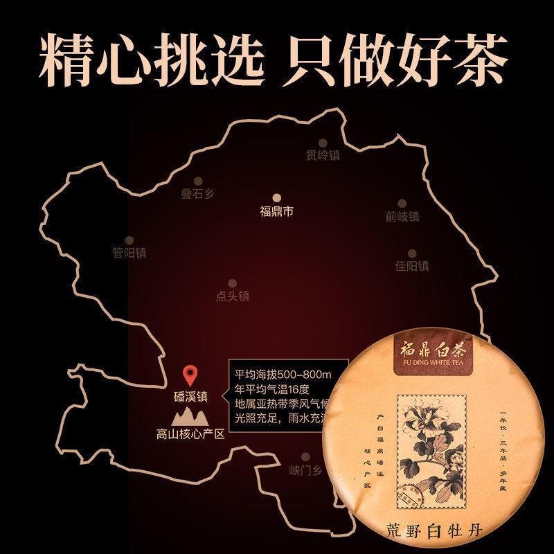 福鼎老白茶2013年荒野白牡丹王7饼整2100老白茶