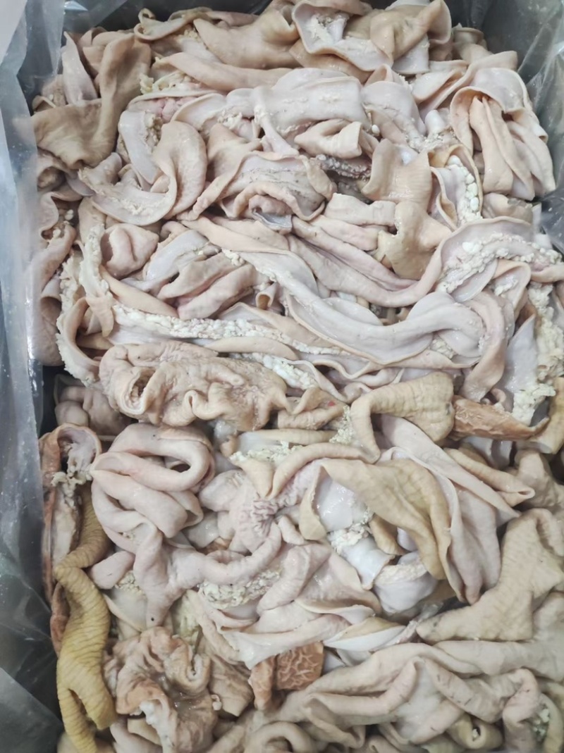 牛肠圆小肠拋边去油牛小肠牛大肠牛小肚牛肠