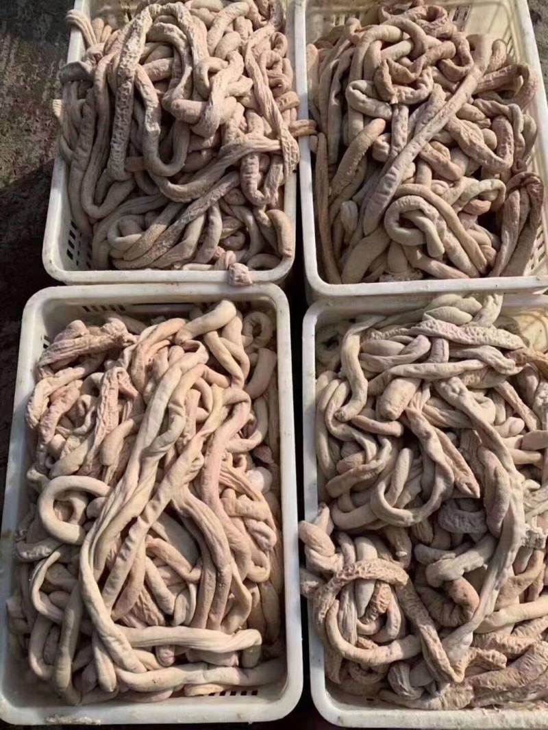 牛肠圆小肠拋边去油牛小肠牛大肠牛小肚牛肠