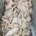 牛肠圆小肠拋边去油牛小肠牛大肠牛小肚牛肠