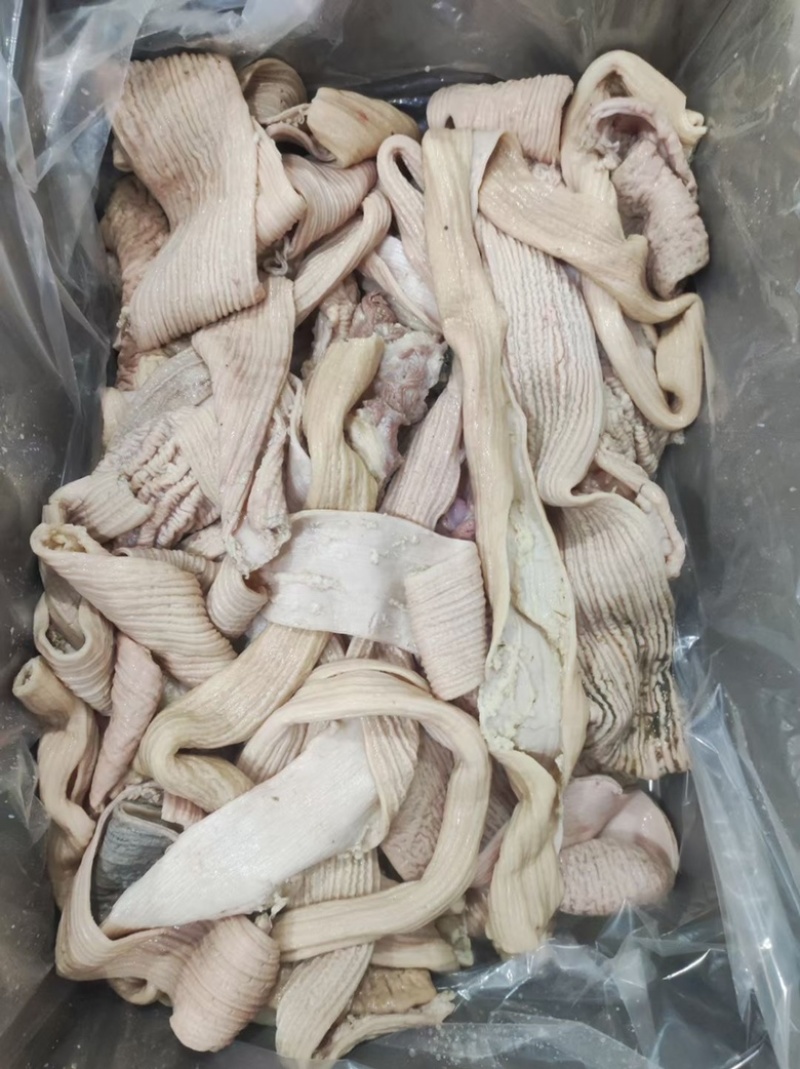 牛肠圆小肠拋边去油牛小肠牛大肠牛小肚牛肠