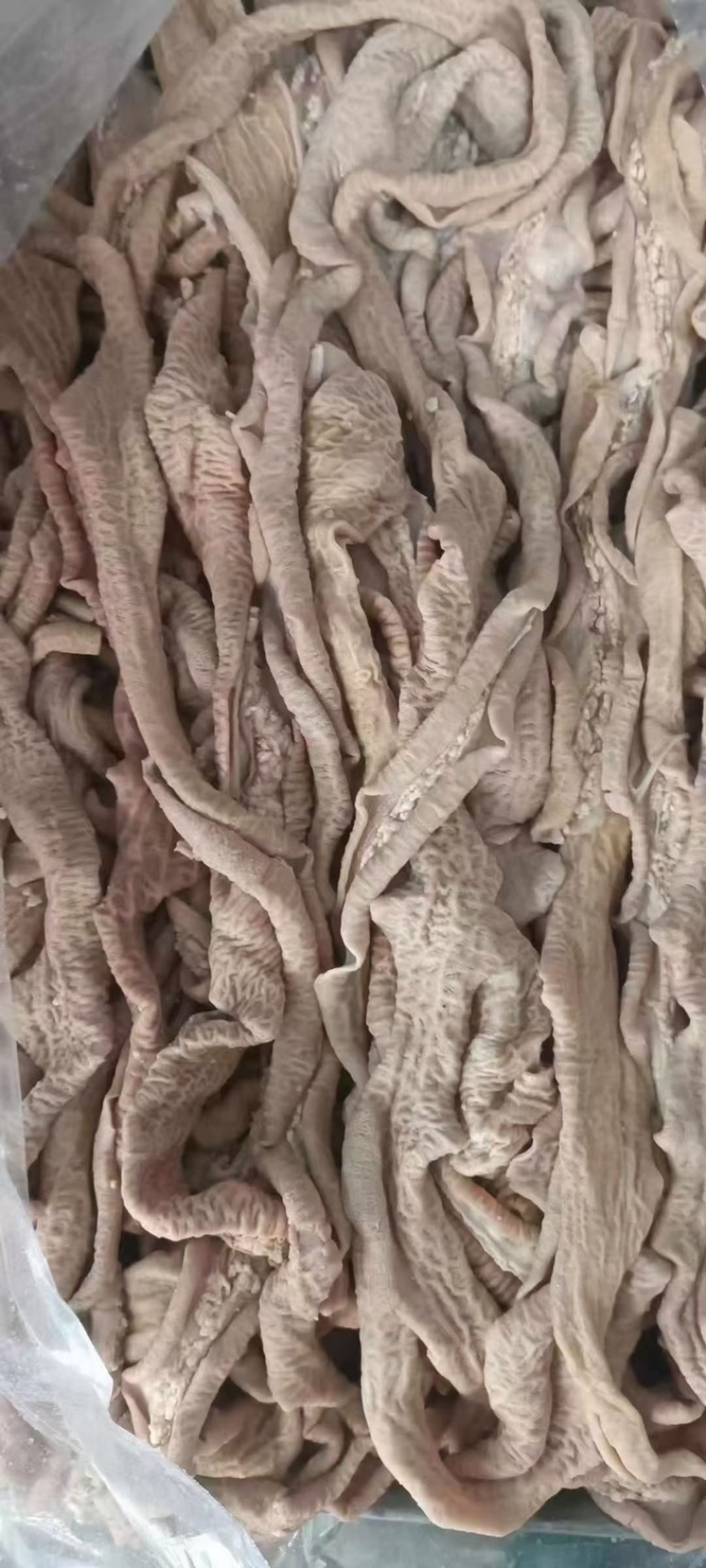 牛肠圆小肠拋边去油牛小肠牛大肠牛小肚牛肠