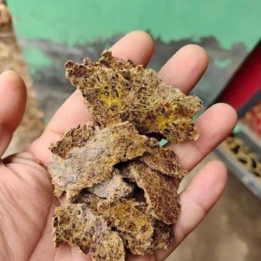 发酵棉籽饼棉粕养殖果蔬菌棚用饼肥规格齐全欢迎咨询合作