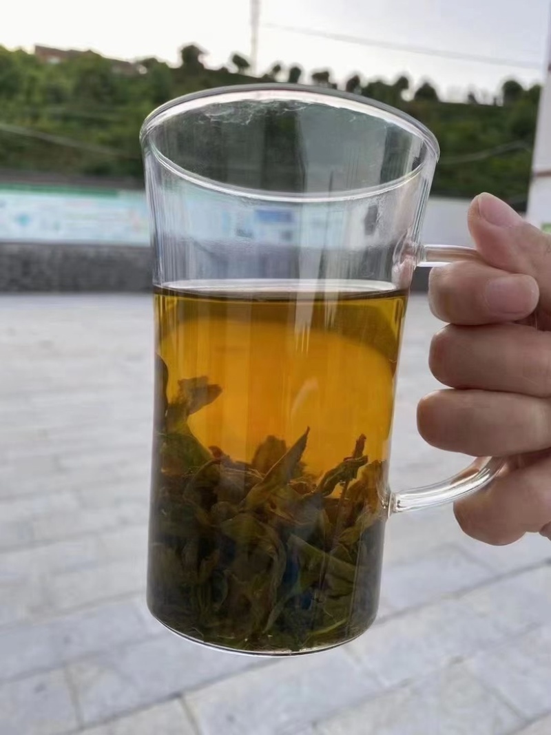 恩施富硒青钱柳