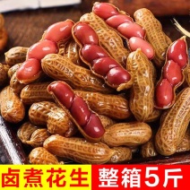 【水煮花生】水煮五香花生5斤批发价真空袋装500克卤汁湿