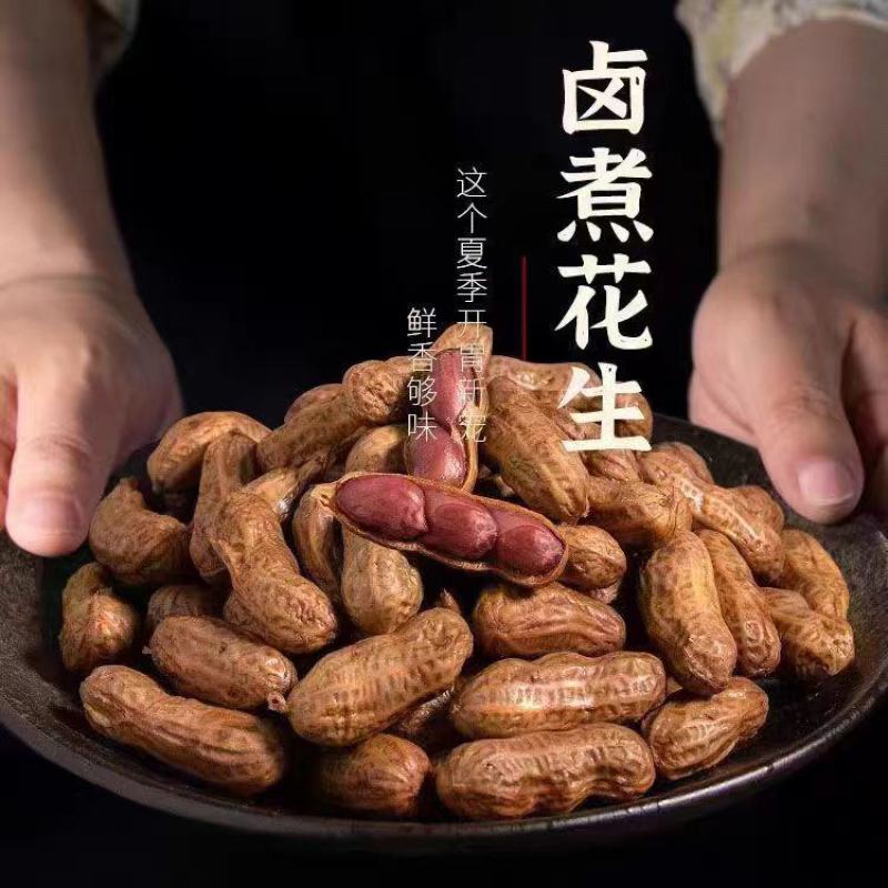 【水煮花生】水煮五香花生5斤批发价真空袋装500克卤汁湿