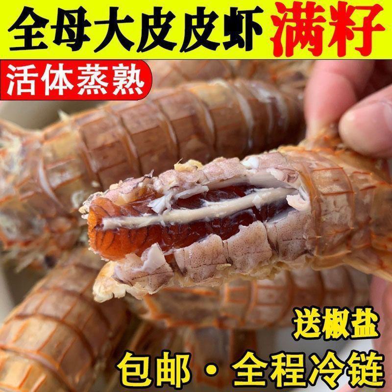 鲜活蒸熟速冻皮皮虾熟冻虾姑富贵虾特大虾爬子懒尿虾海鲜水产