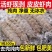 皮皮虾肉爬虾肉虾姑肉琵琶虾饺子陷虾爬子虾肉海鲜真皮皮虾