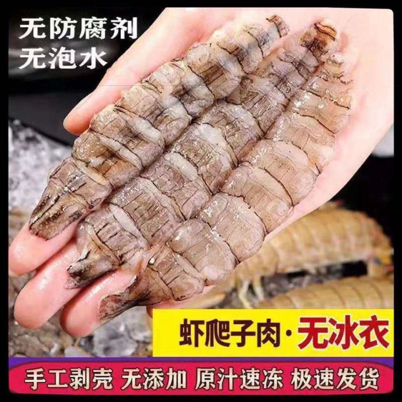 皮皮虾肉爬虾肉虾姑肉琵琶虾饺子陷虾爬子虾肉海鲜真皮皮虾