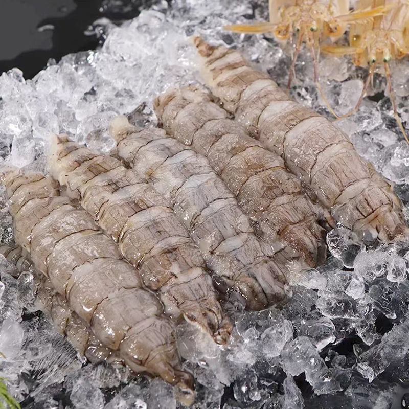 皮皮虾肉爬虾肉虾姑肉琵琶虾饺子陷虾爬子虾肉海鲜真皮皮虾