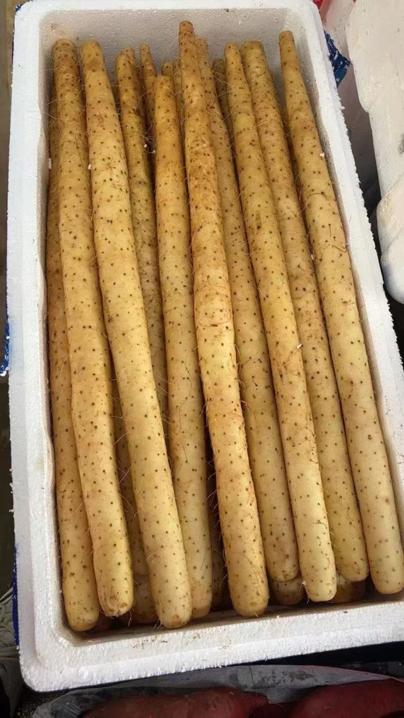 精品水洗双棒