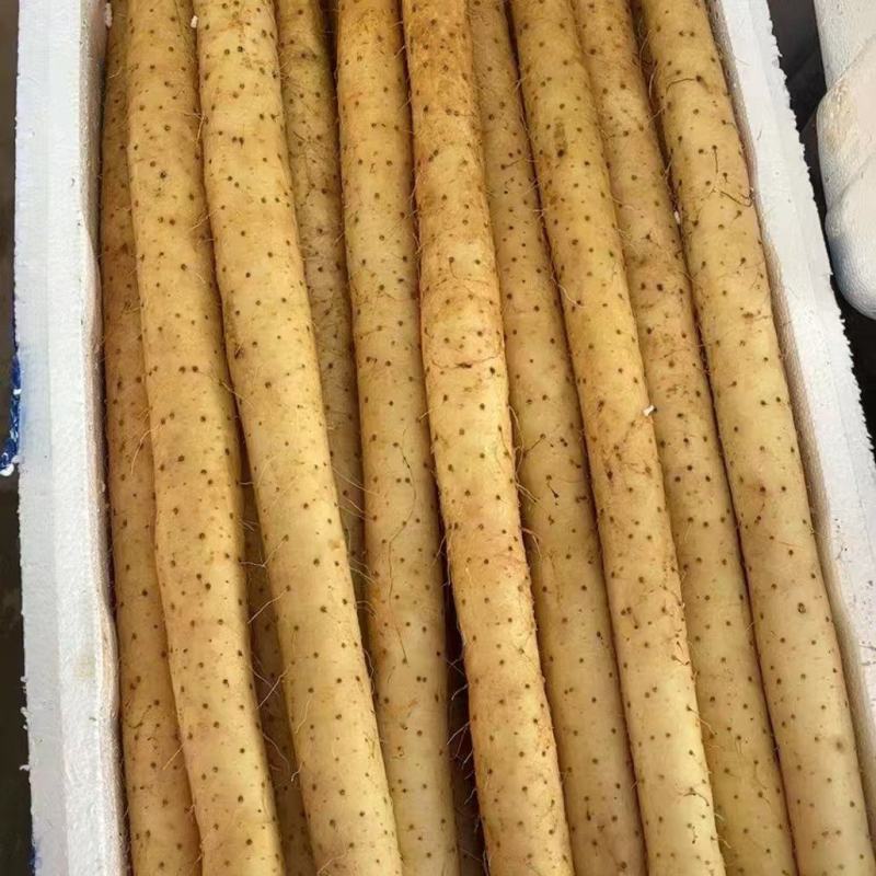 精品水洗双棒