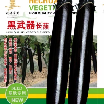 茄子种子黑武器长茄早熟长条顺直乌黑发亮结果多品质好