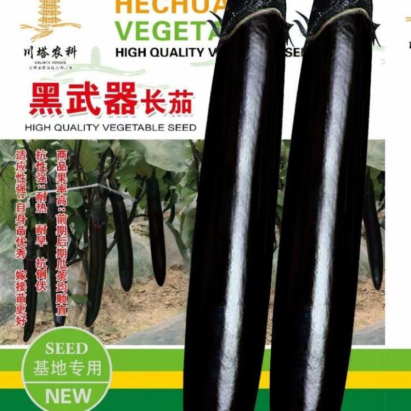 茄子种子黑武器长茄早熟长条顺直乌黑发亮结果多品质好