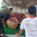 清园红提正在走货