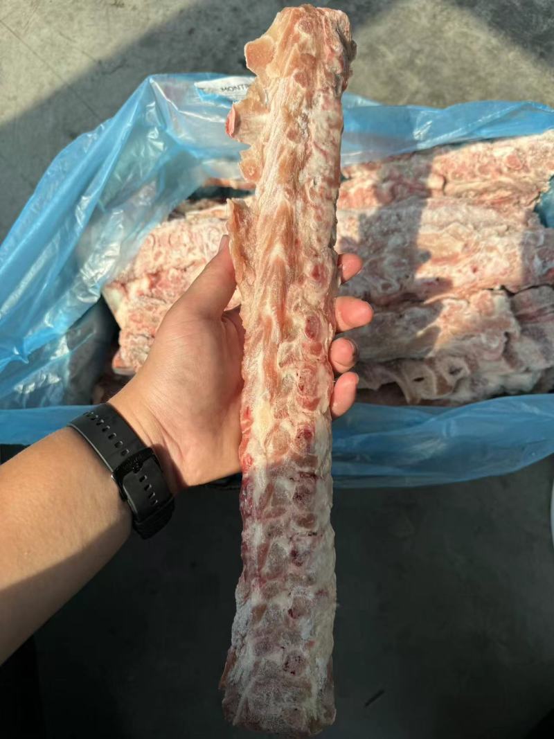 公司多个厂号的猪背骨临沂现货，有需要的联系，量大从优