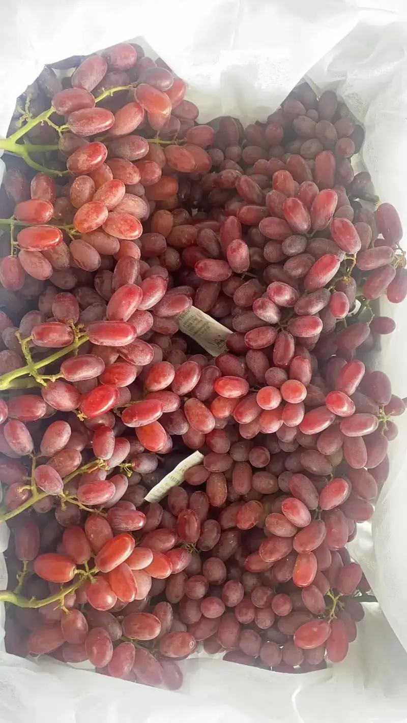 精品澳洲无核，陕西渭南临渭区产地直供，质量保证，货发全国