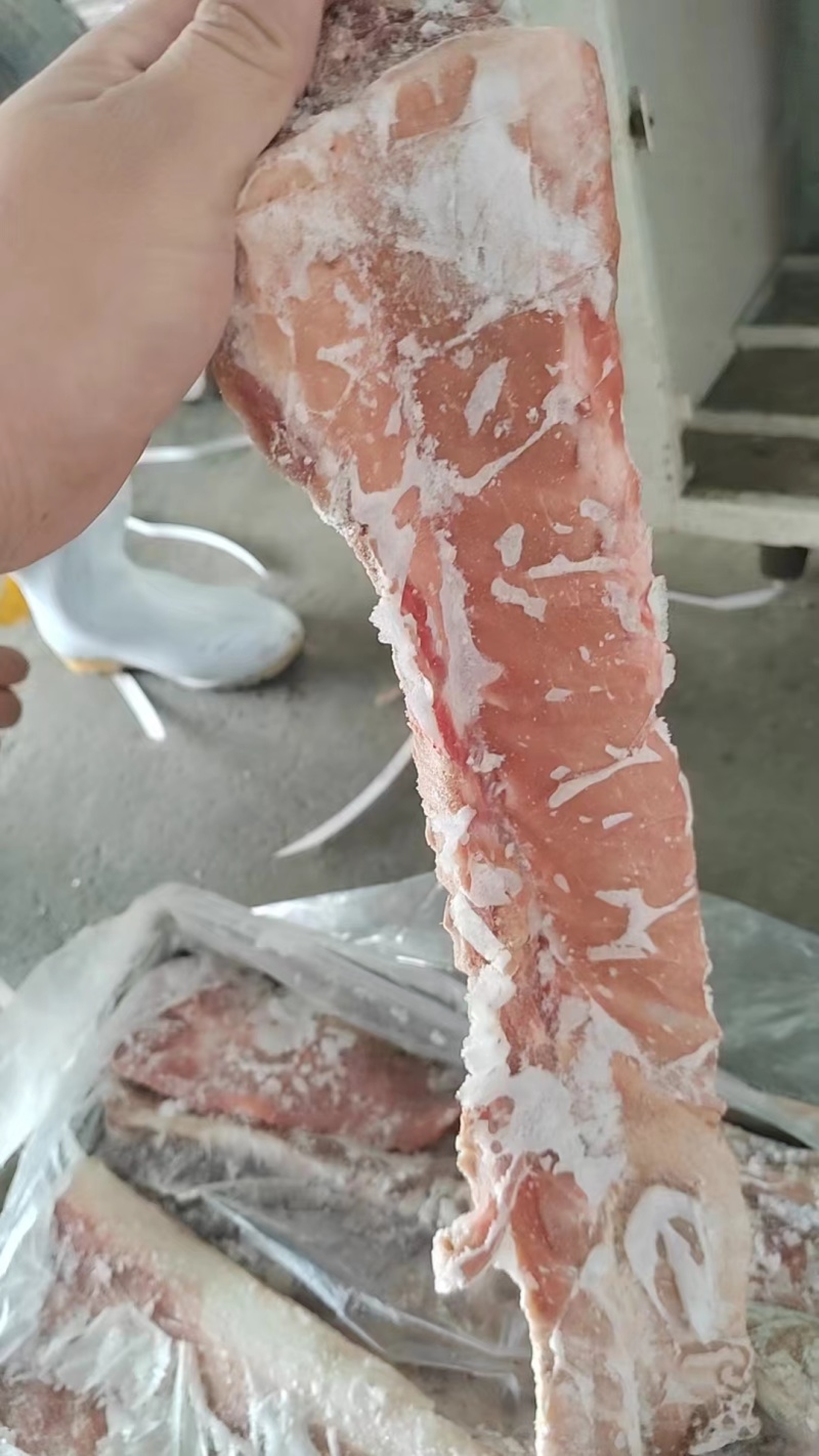 龙骨