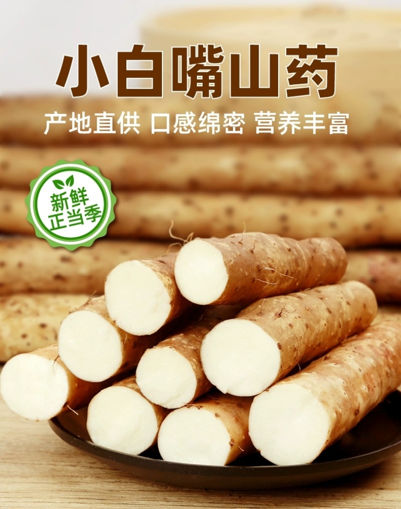 河北山药特产小白嘴白山药铁棍山药淮山药网袋山药各种规格