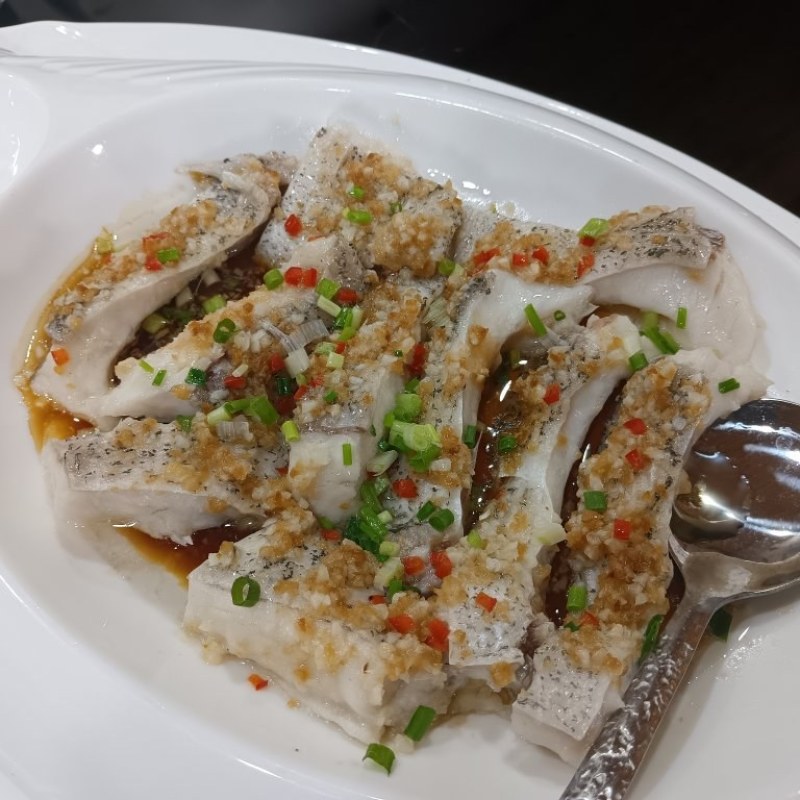 墨瑞鳕澳洲淡水鱼