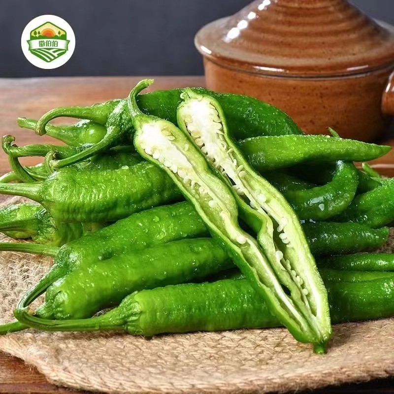湘妍55号辣椒软薄皮辣椒小炒肉专用