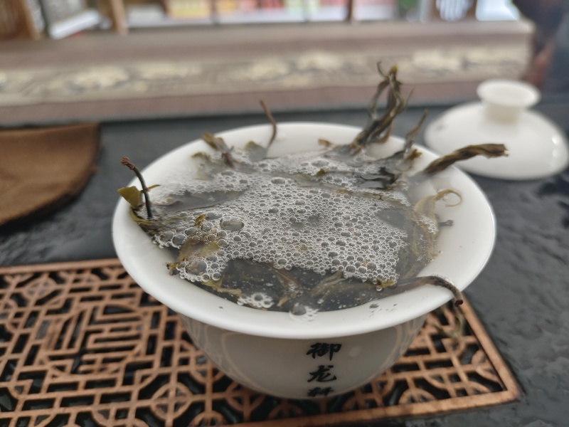 易武高山乔木