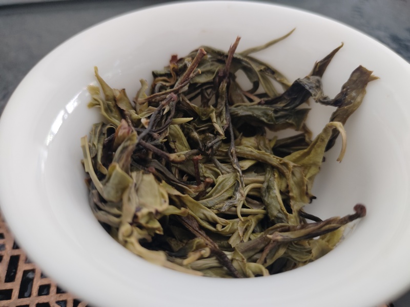 易武高山乔木