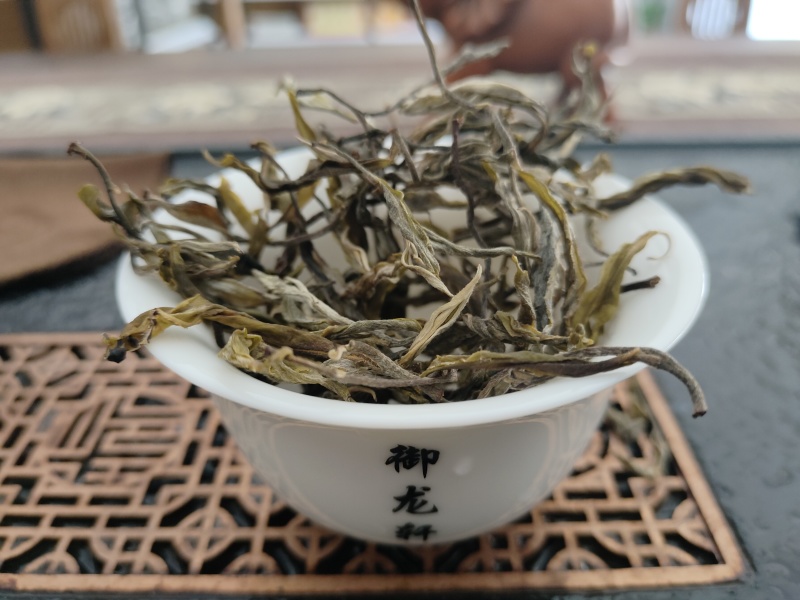 易武高山乔木