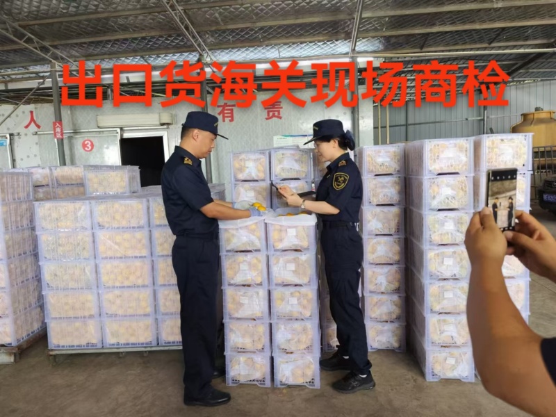 国庆蜜橘，兴津蜜橘，普早蜜橘，果园直供，坏果包赔