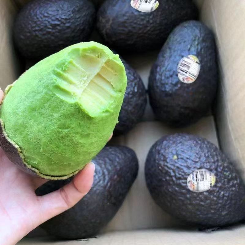 国产精品牛油果一件代发批发价格**欢迎大家来