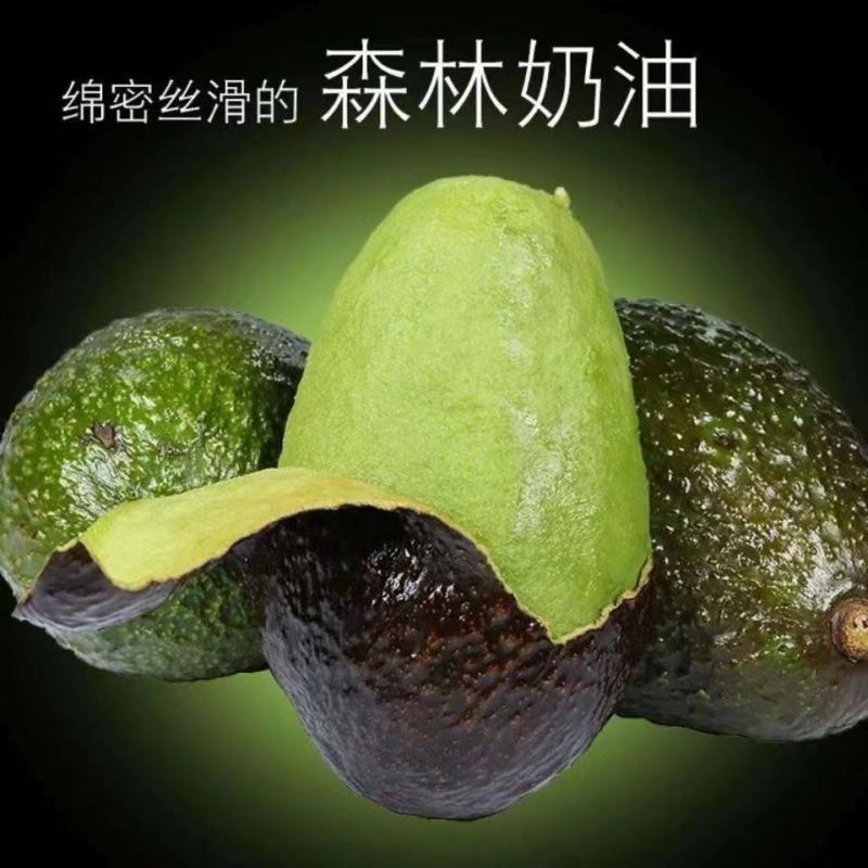 国产精品牛油果一件代发批发价格**欢迎大家来