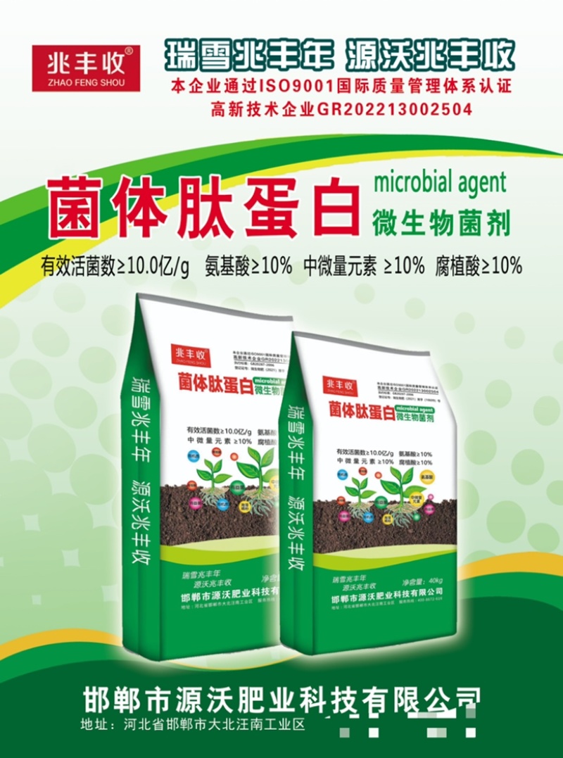 菌体肽蛋白微生物菌剂每克10亿菌厂家直销
