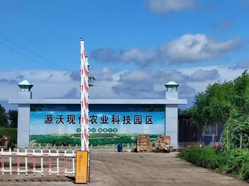 益生菌发酵大豆每克5亿菌大豆肥厂家直销