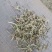 河南南阳花生秧，大量现货，适合养殖，视频看货全国发货