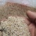 黑芝麻，白芝麻，农户少量种植，无另施农药化肥