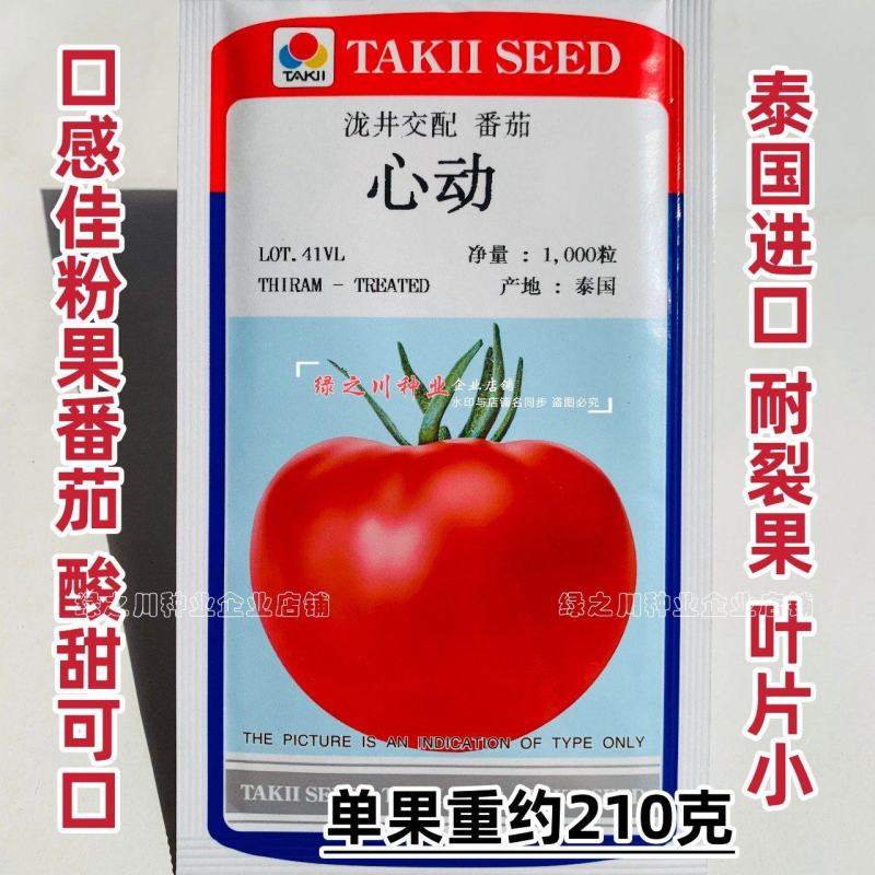 泰国进口酸甜高糖番茄种子泷井西红柿种子心动粉果西红柿种籽