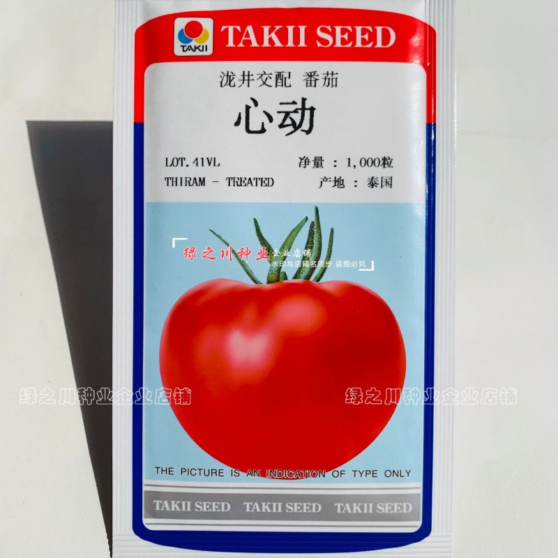 泰国进口酸甜高糖番茄种子泷井西红柿种子心动粉果西红柿种籽