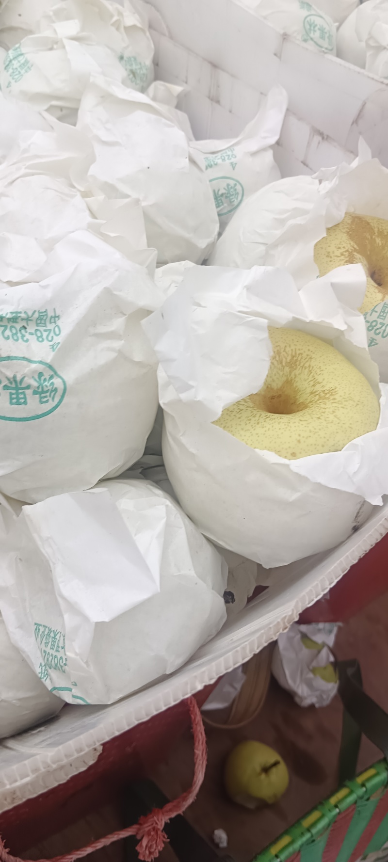四川汉源县套代京花梨大上市，鲜，味好，有几仟万斤需要的联