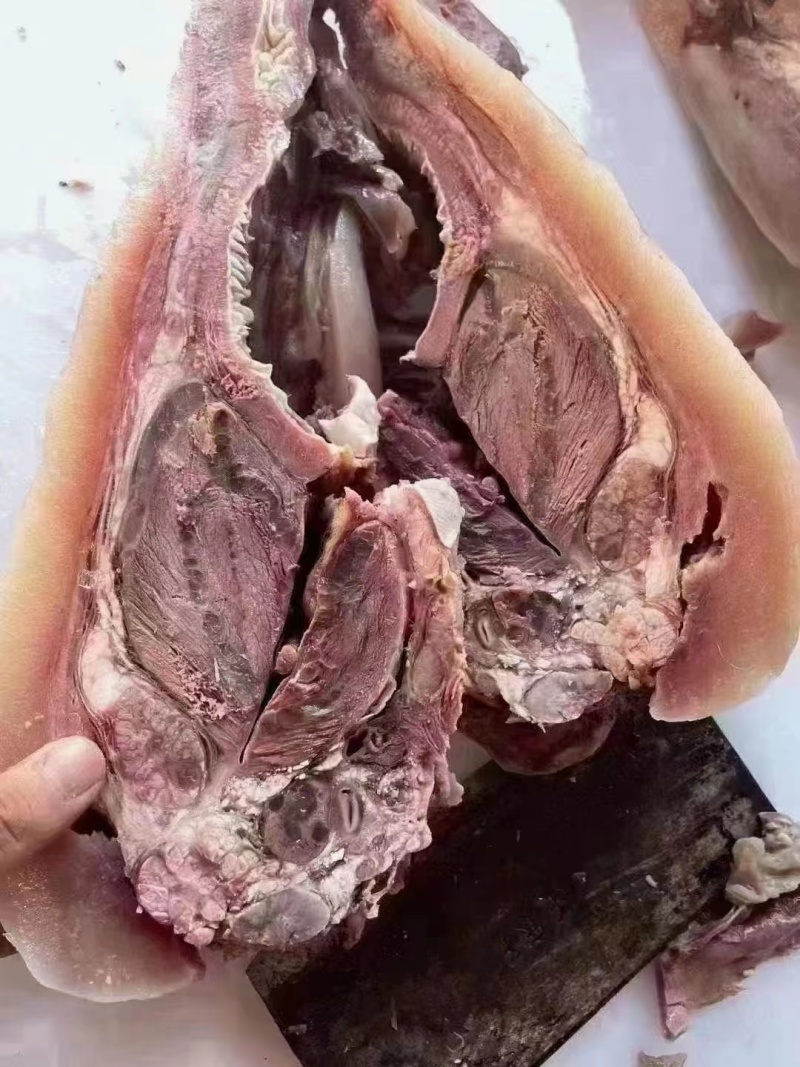 山东精品牛头肉厂家直发品质保证量大从优一手货源
