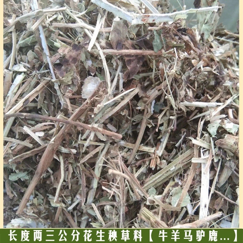焦作品质保证一级绿风选花生秧无土无膜欢迎联系