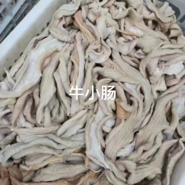 山东精品牛小肠厂家直发品质保证量大从优欢迎联系