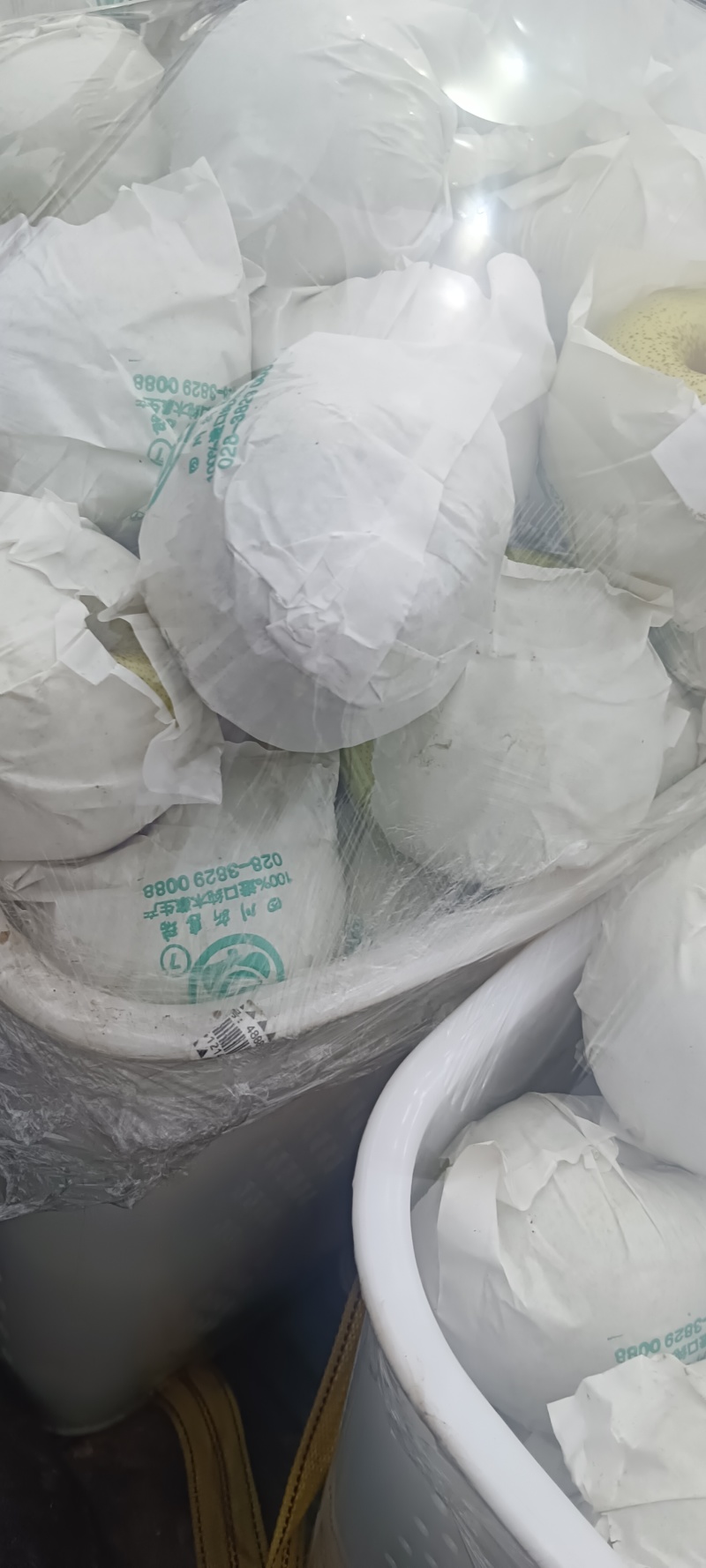 四川汉源县雪花梨，大上市，鲜味好，有几千万斤，需要的联