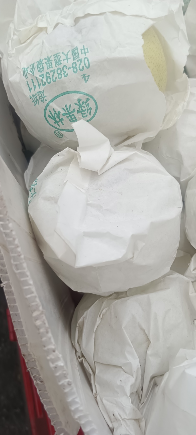 四川汉源县雪花梨，大上市，鲜味好，有几千万斤，需要的联