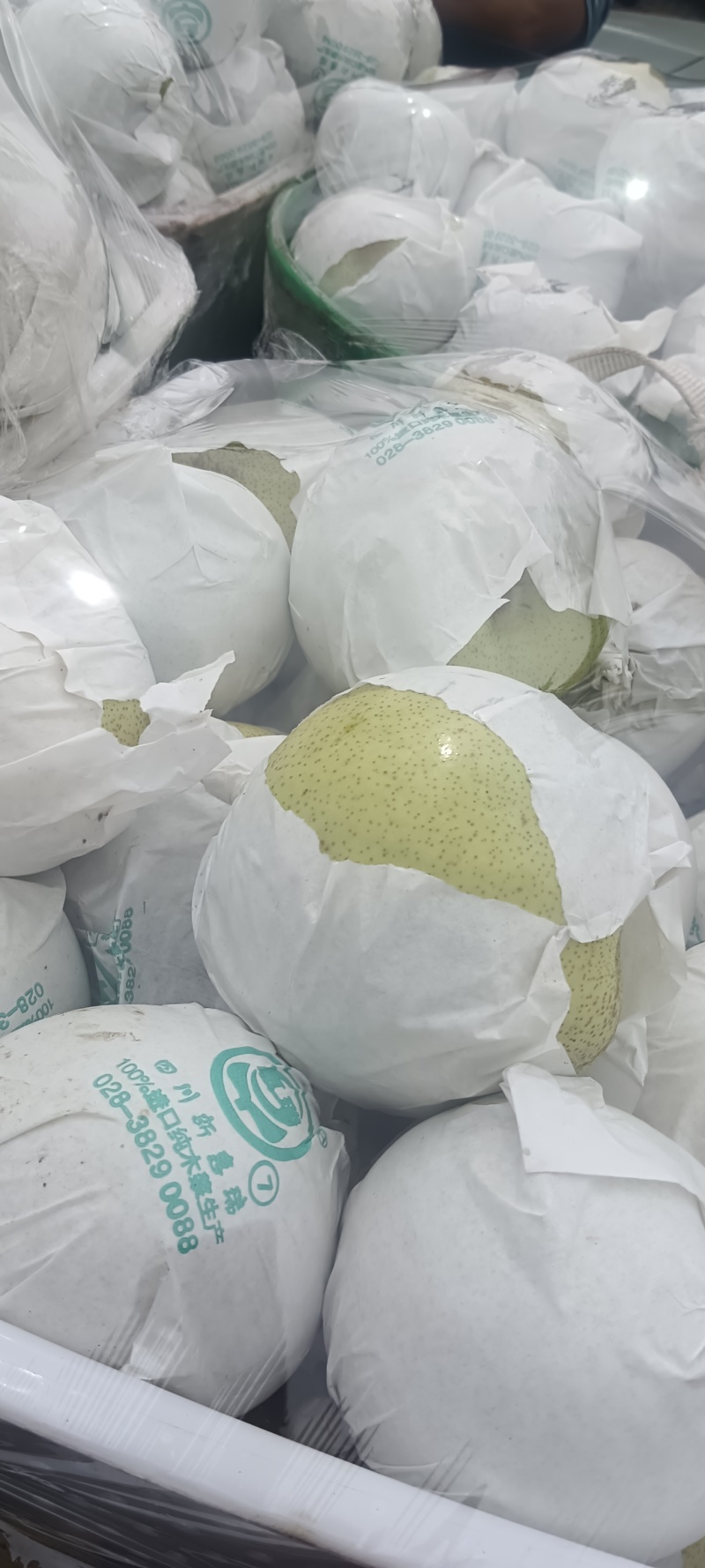 四川汉源县雪花梨，大上市，鲜味好，有几千万斤，需要的联