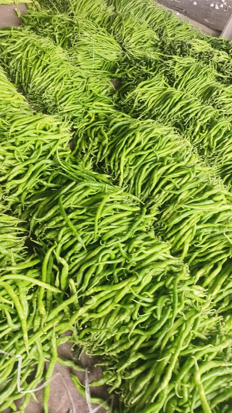 各种椒
