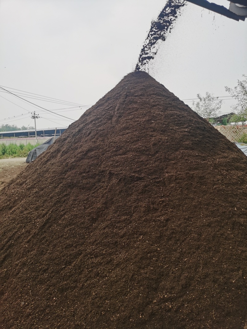 河北精品羊粪厂家直发品质保证量大从优纯羊粪有机肥