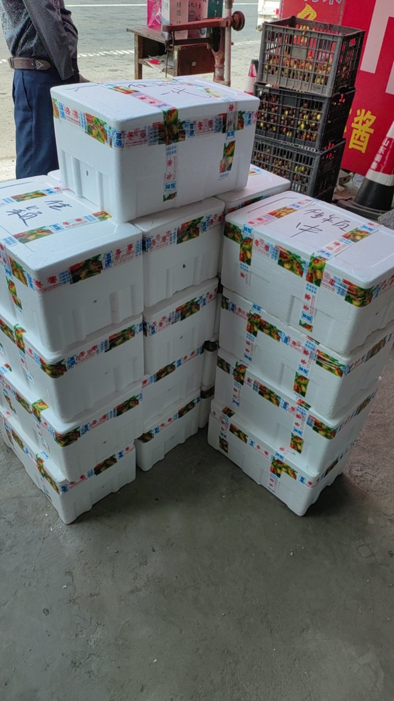 二代冬枣原产地适合高端市场专业代收代发质量好价格优