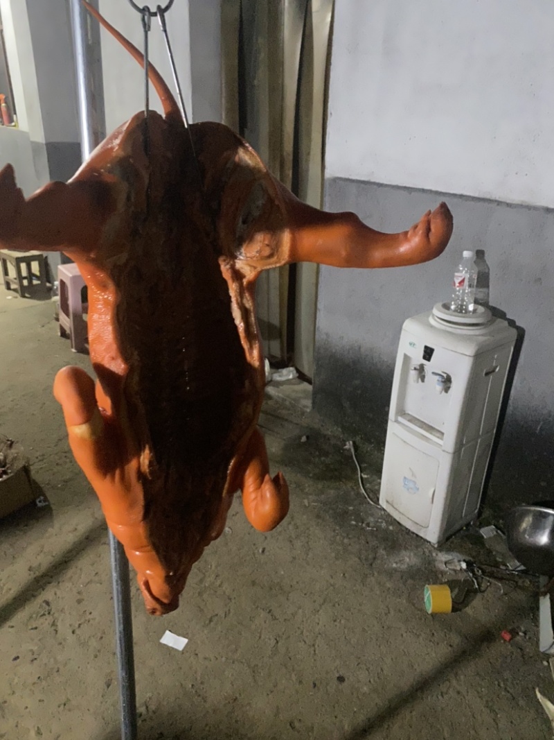 乳猪厂家直供新鲜发货量大从优欢迎咨询