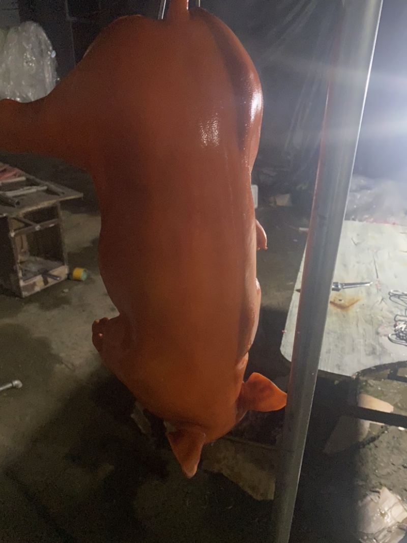 乳猪厂家直供新鲜发货量大从优欢迎咨询
